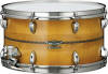 D Mark Agostinelli - Drum Teacher Guy - Snare Drum