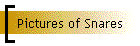 Pictures of Snares